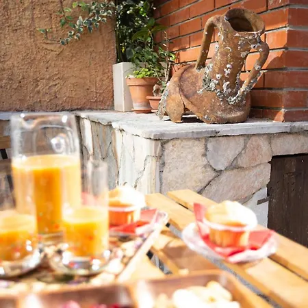 Beautiful With Garden And Terrace