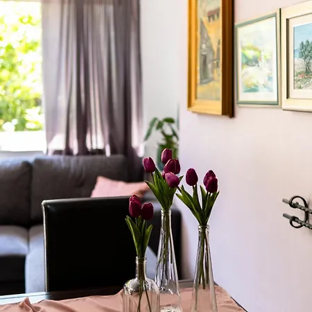 Beautiful With Garden And Terrace *